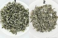 蒙顶甘露与奉化曲毫的口感对比：卷曲形名优绿茶的独特风味