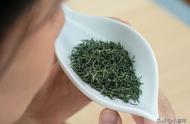 信阳毛尖：中国名茶如何成为江湖中的小浑淡？