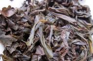 乌龙茶的种类：青茶百科的全面解读