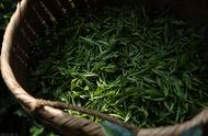 峨眉毛峰：四川的另一种独特好茶