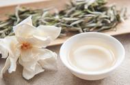 春茶、夏茶、秋茶：白茶的三大季节差异