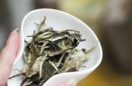 白茶的奥秘：探索中国唯一不炒不揉的独特茶类