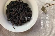 武夷岩茶：为何与普洱茶一样走向山头化？