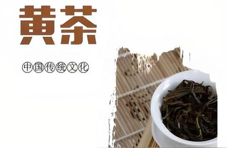 探索中国黄茶：科普知识全解析