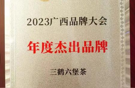 2023年广西品牌大会：三鹤六堡茶荣获年度最佳品牌