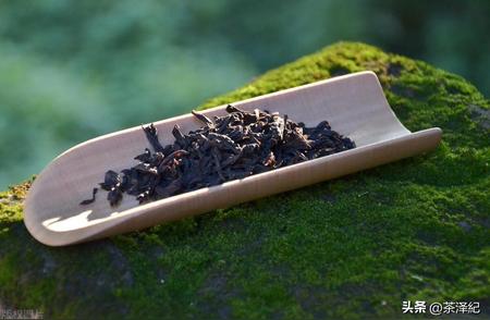 武夷正岩大红袍与水仙：茶文化的瑰宝