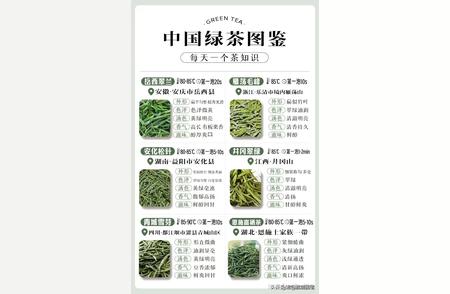 中国绿茶大全：收藏起来，慢慢品味，增长见识！