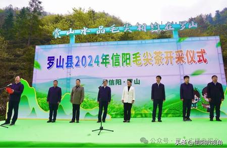 信阳毛尖茶2024年度开采典礼在罗山县盛大开启