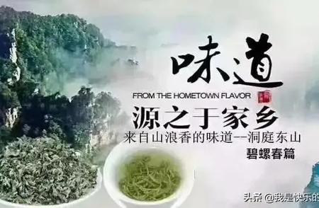 2024年新茶季：中国顶级名茶碧螺春上市，源自苏州洞庭东山！