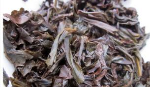 青茶百科，乌龙茶的种类