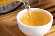 普洱古树茶速览：茶汤与香气的奥秘