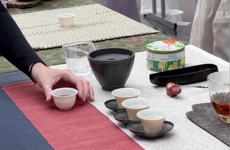 探秘中国茶文化：在比利时的品茗之旅